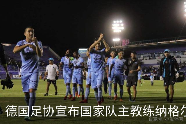 德国足协宣布国家队主教练纳格尔斯曼辞职